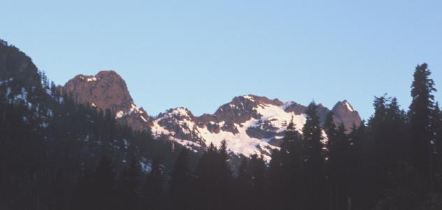 tooth chair panorama am