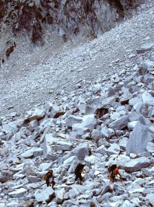 32 crossing boulder field